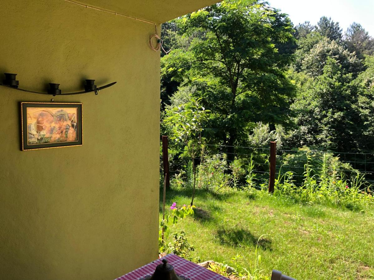 Happyhobbit Forest, Lake View, Fireplace , Jakuzi ,In Сапанча Экстерьер фото
